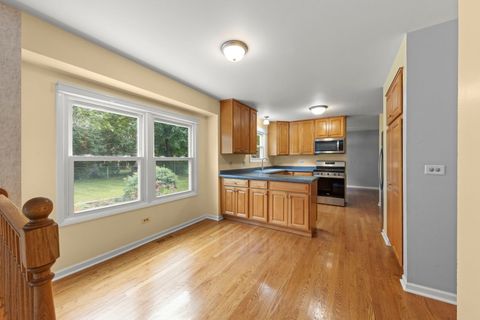 Tiny photo for 4525 Waubansie Lane, Lisle, IL 60532 (MLS # 12463489)