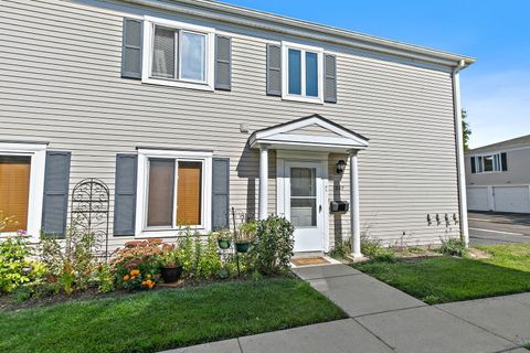 1037 Cove Drive 135D Prospect Heights IL 60070