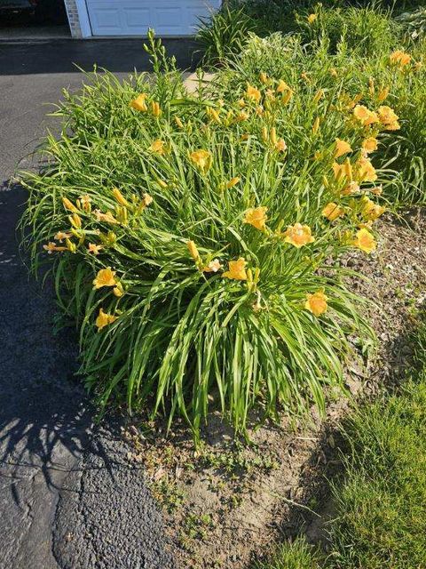 Tiny photo for 4209 Belson Lane, Crystal Lake, IL 60014 (MLS # 12561913)