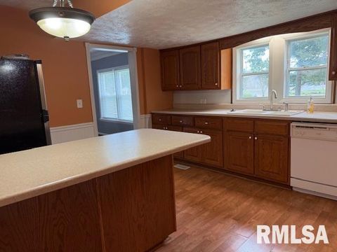 Tiny photo for 1621 N PARK Avenue, Herrin, IL 62948 (MLS # EB459371)