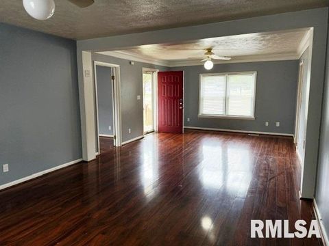 Tiny photo for 1621 N PARK Avenue, Herrin, IL 62948 (MLS # EB459371)