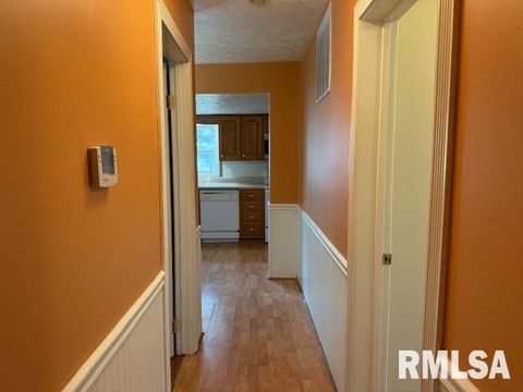 Tiny photo for 1621 N PARK Avenue, Herrin, IL 62948 (MLS # EB459371)