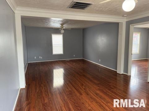 Tiny photo for 1621 N PARK Avenue, Herrin, IL 62948 (MLS # EB459371)