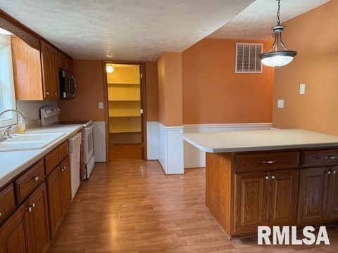 Tiny photo for 1621 N PARK Avenue, Herrin, IL 62948 (MLS # EB459371)