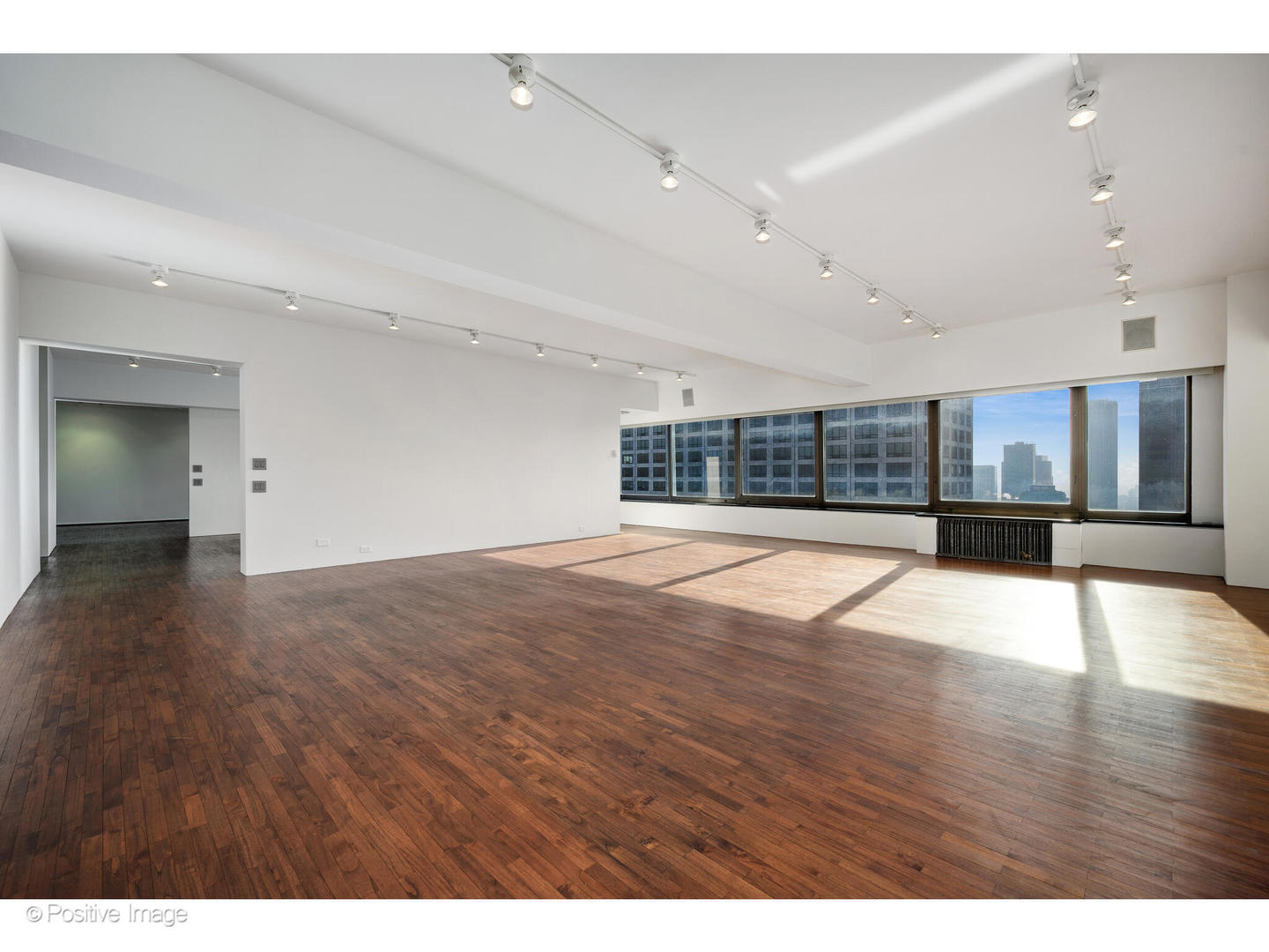 175 E Delaware Place 5116