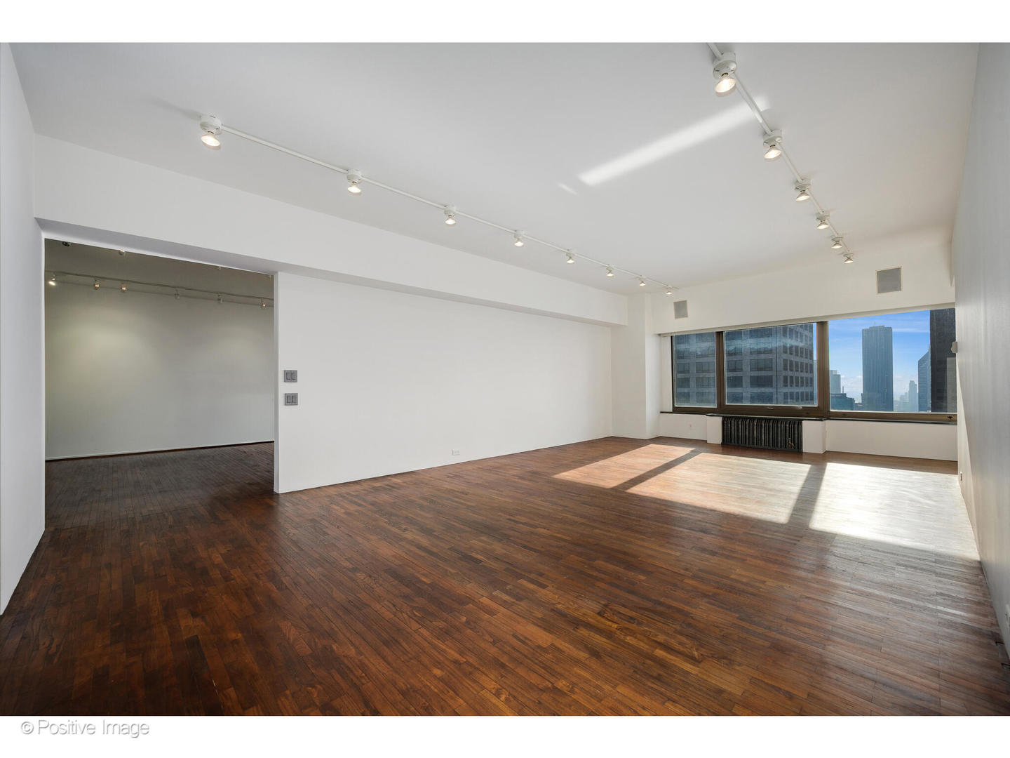 175 E Delaware Place 5116