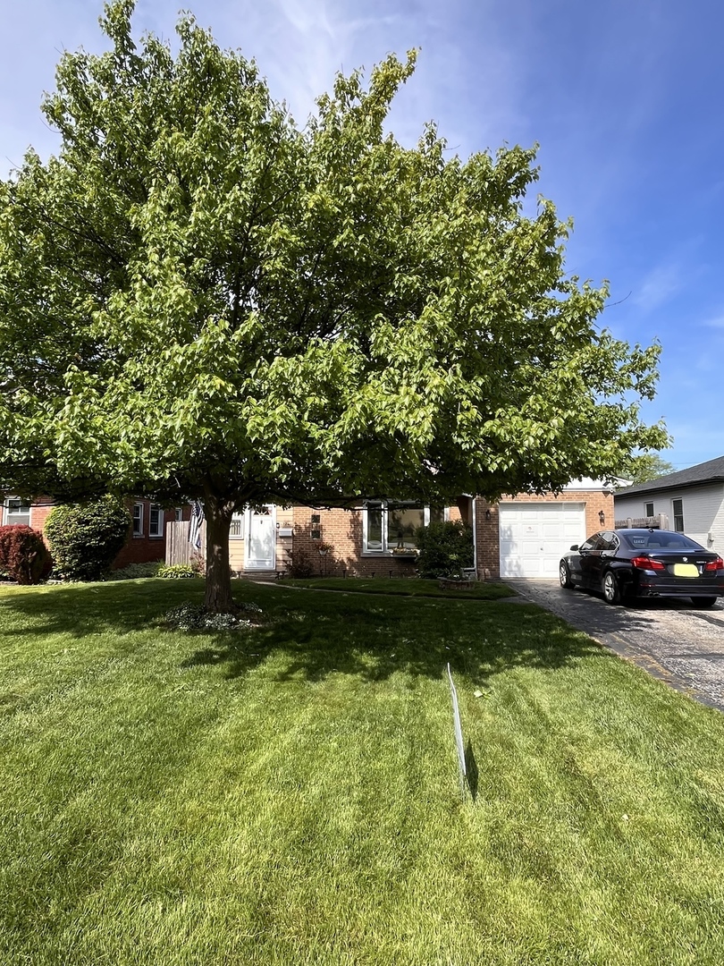 5224 Wolf Road