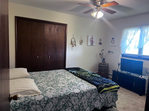 Tiny photo for 526 N 4th Street, Cissna Park, IL 60924 (MLS # 12776295)