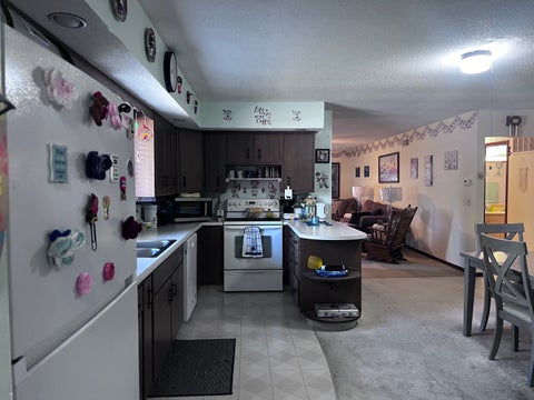 Tiny photo for 526 N 4th Street, Cissna Park, IL 60924 (MLS # 12776295)
