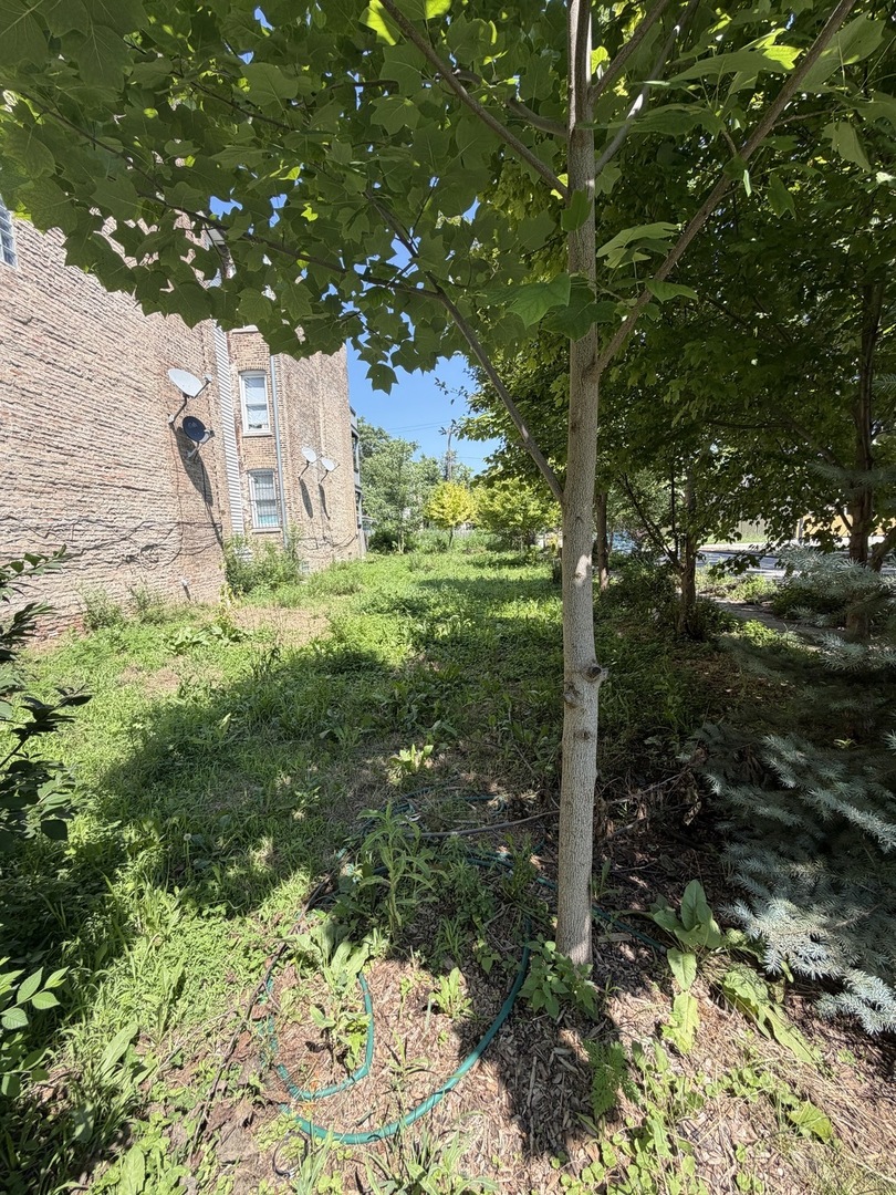 Photo 1 of 8 — 1449 S Spaulding Avenue, Chicago, IL 60623