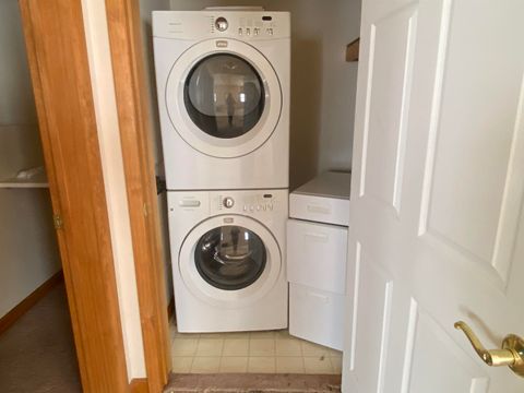 Tiny photo for 190 Public Street, Muddy, IL 62965 (MLS # 100000031)