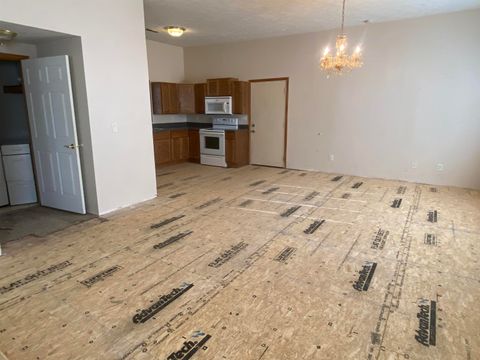 Tiny photo for 190 Public Street, Muddy, IL 62965 (MLS # 100000031)