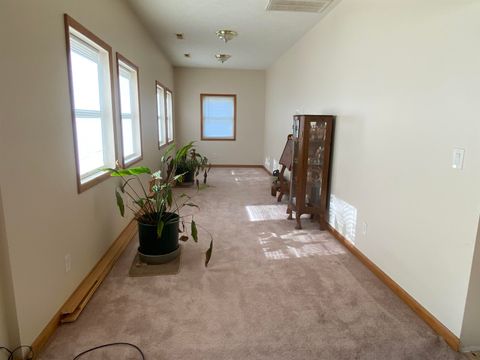 Tiny photo for 190 Public Street, Muddy, IL 62965 (MLS # 100000031)