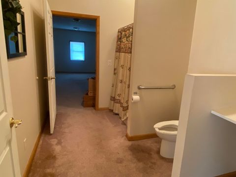 Tiny photo for 190 Public Street, Muddy, IL 62965 (MLS # 100000031)