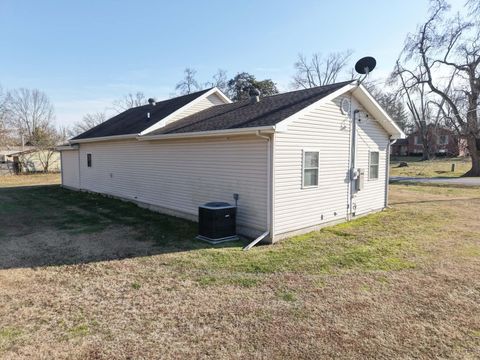 Tiny photo for 190 Public Street, Muddy, IL 62965 (MLS # 100000031)