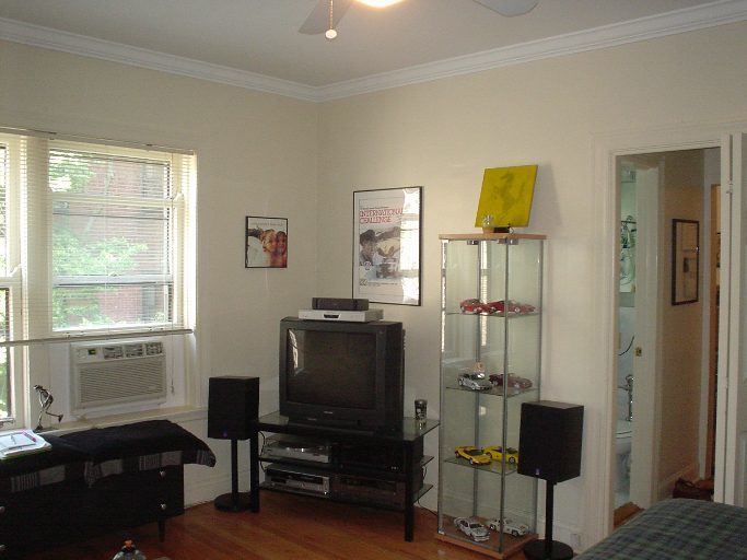 2328 N Lincoln Park West Avenue 3B