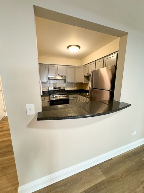 Tiny photo for 677 S RIVER Road #2D, Des Plaines, IL 60016 (MLS # 12510954)