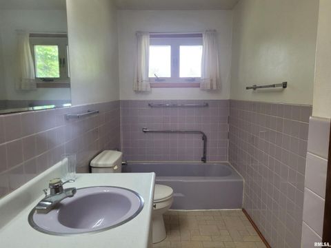 Tiny photo for 3 Lynn Rose Heights Street, Mt Sterling, IL 62353 (MLS # QC4256411)