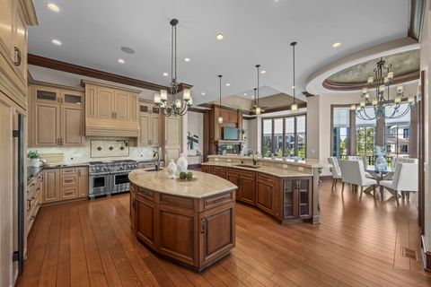 Tiny photo for 23 Enclave Court, South Barrington, IL 60010 (MLS # 12625719)