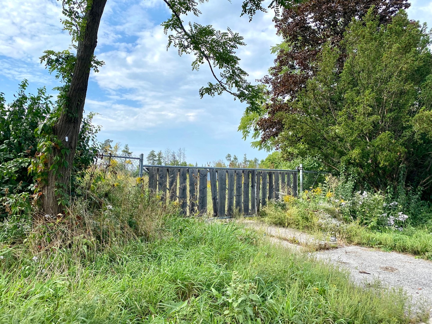 28884 N IL Route 83 Street