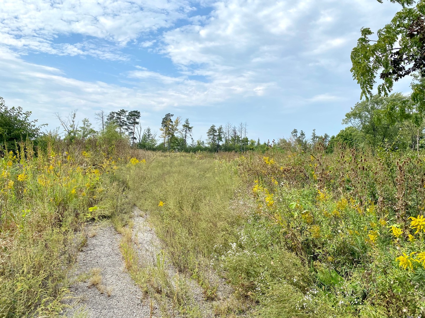 28884 N IL Route 83 Street