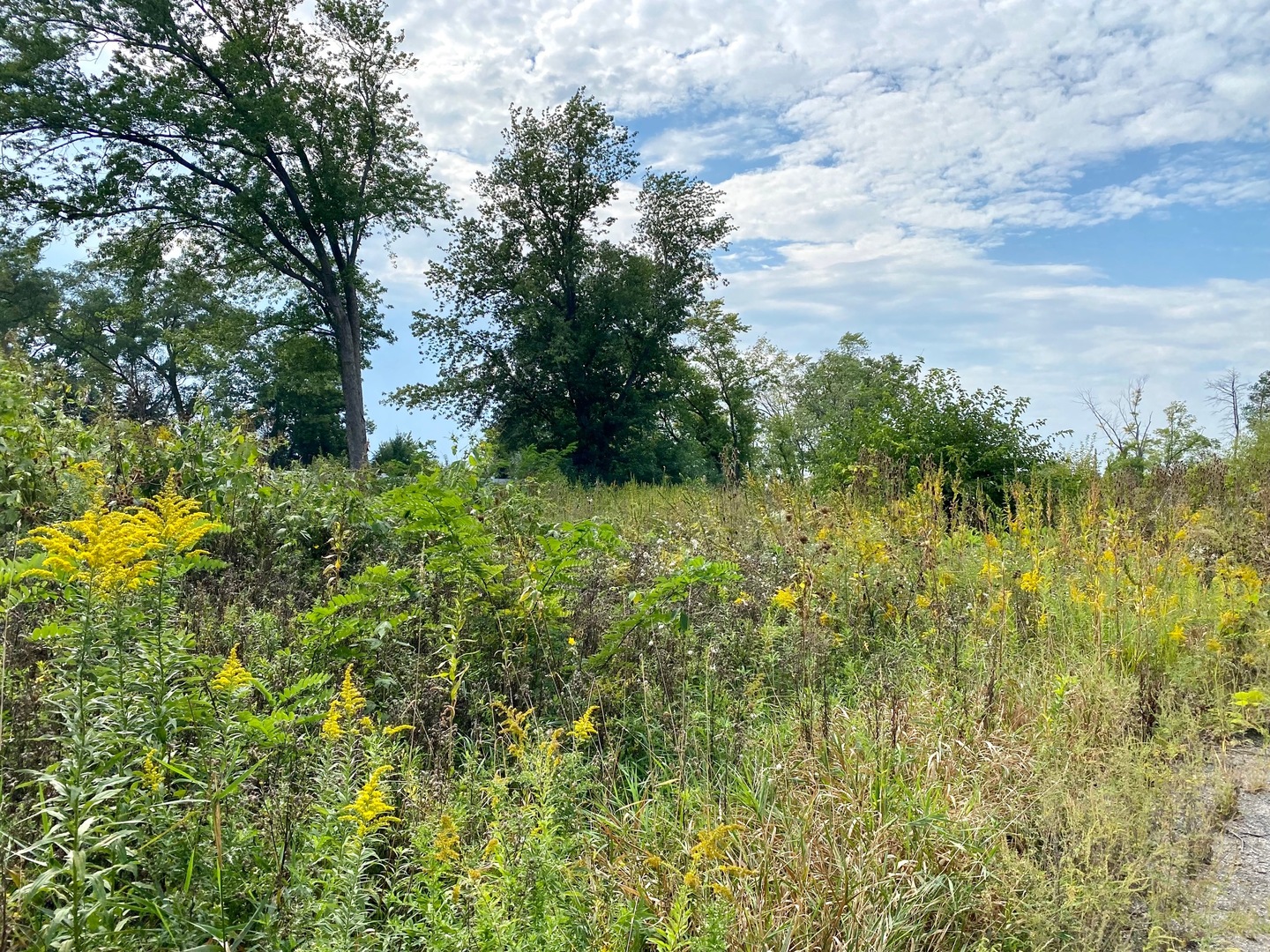 28884 N IL Route 83 Street