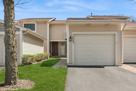 1025 Cumberland Court Vernon Hills IL 60061