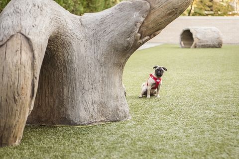 Tiny photo for 2550 N Lakeview Avenue #N1604, Chicago, IL 60614 (MLS # 12602410)