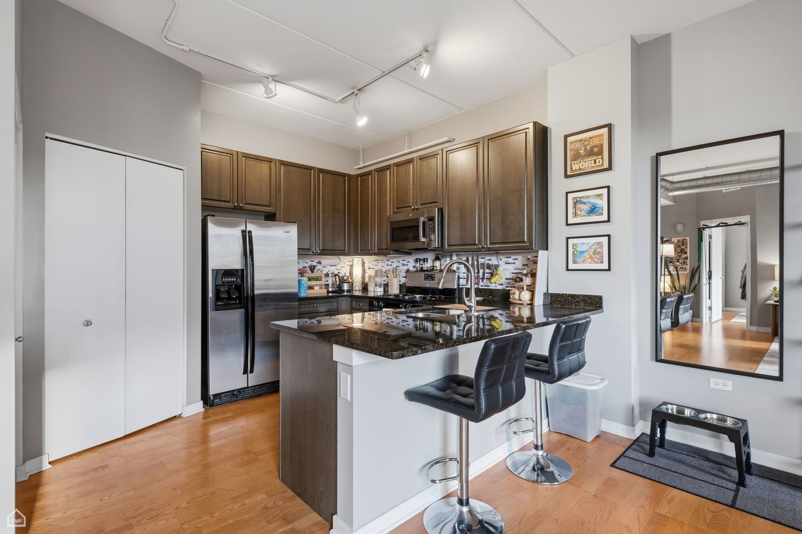 873 N Larrabee Street 409