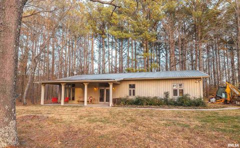 Tiny photo for 15319 Laminack Road, Carterville, IL 62918 (MLS # EB456192)