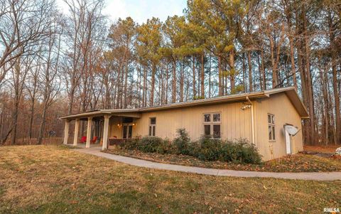 Tiny photo for 15319 Laminack Road, Carterville, IL 62918 (MLS # EB456192)