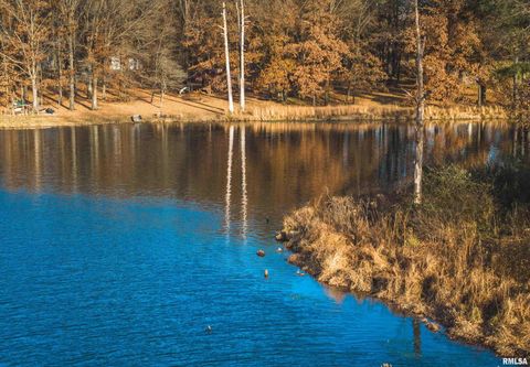 Tiny photo for 15319 Laminack Road, Carterville, IL 62918 (MLS # EB456192)