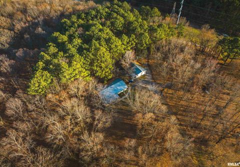 Tiny photo for 15319 Laminack Road, Carterville, IL 62918 (MLS # EB456192)