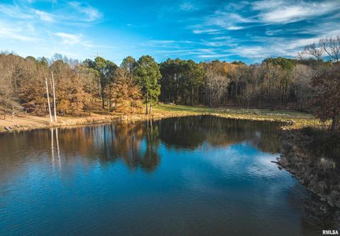 Tiny photo for 15319 Laminack Road, Carterville, IL 62918 (MLS # EB456192)