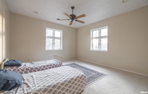 Tiny photo for 15319 Laminack Road, Carterville, IL 62918 (MLS # EB456192)