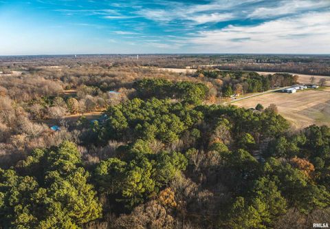 Tiny photo for 15319 Laminack Road, Carterville, IL 62918 (MLS # EB456192)