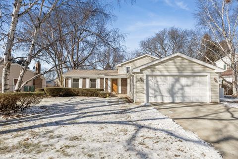 A home in Buffalo Grove