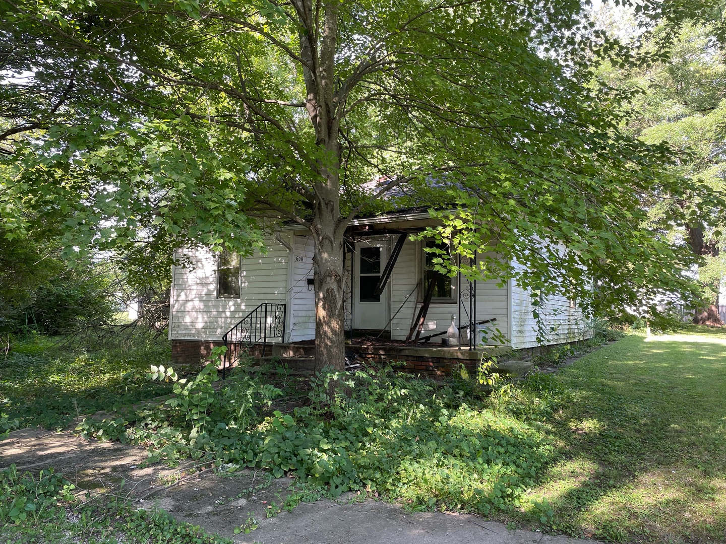 Listing image 1