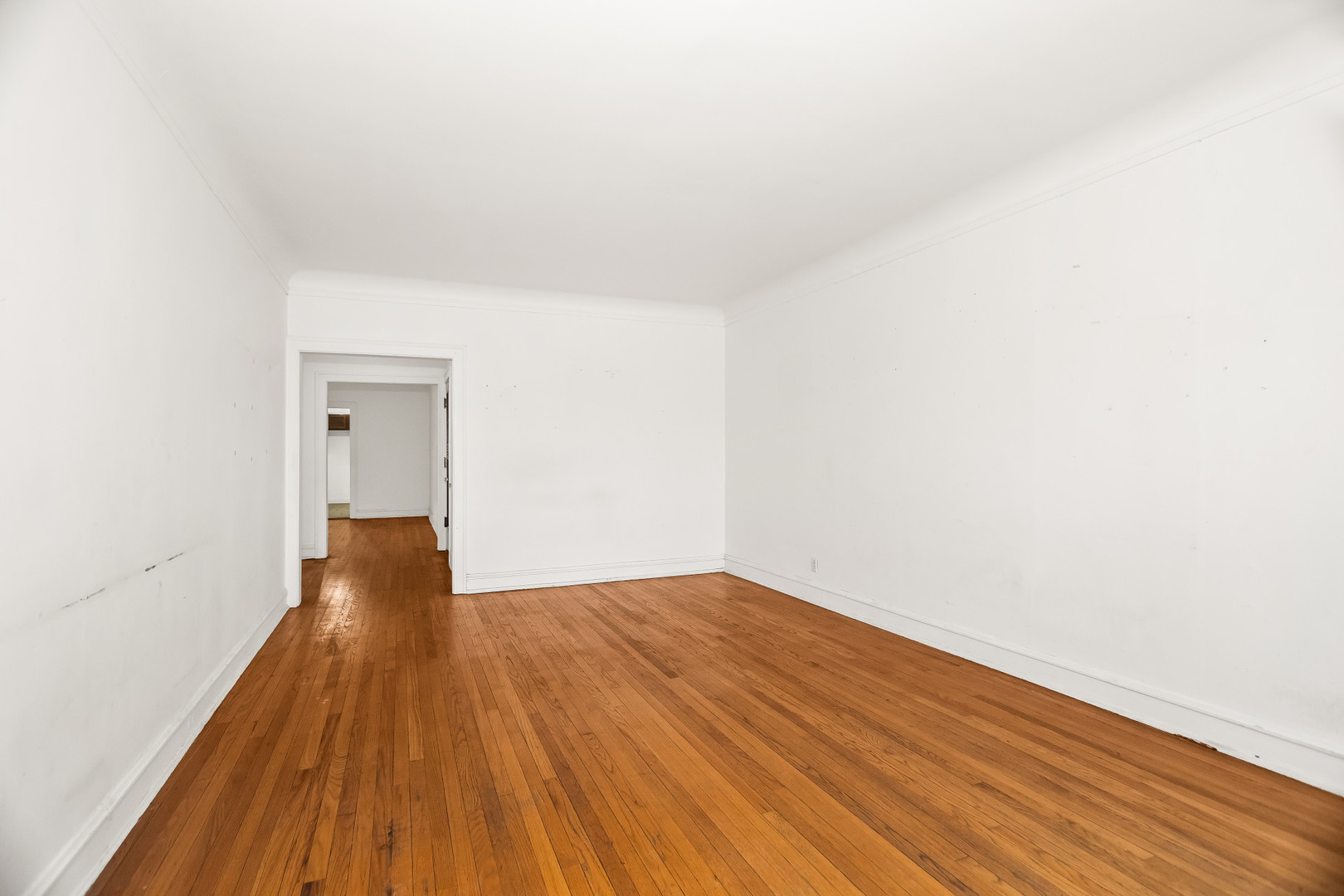 439 Ridge Avenue 2