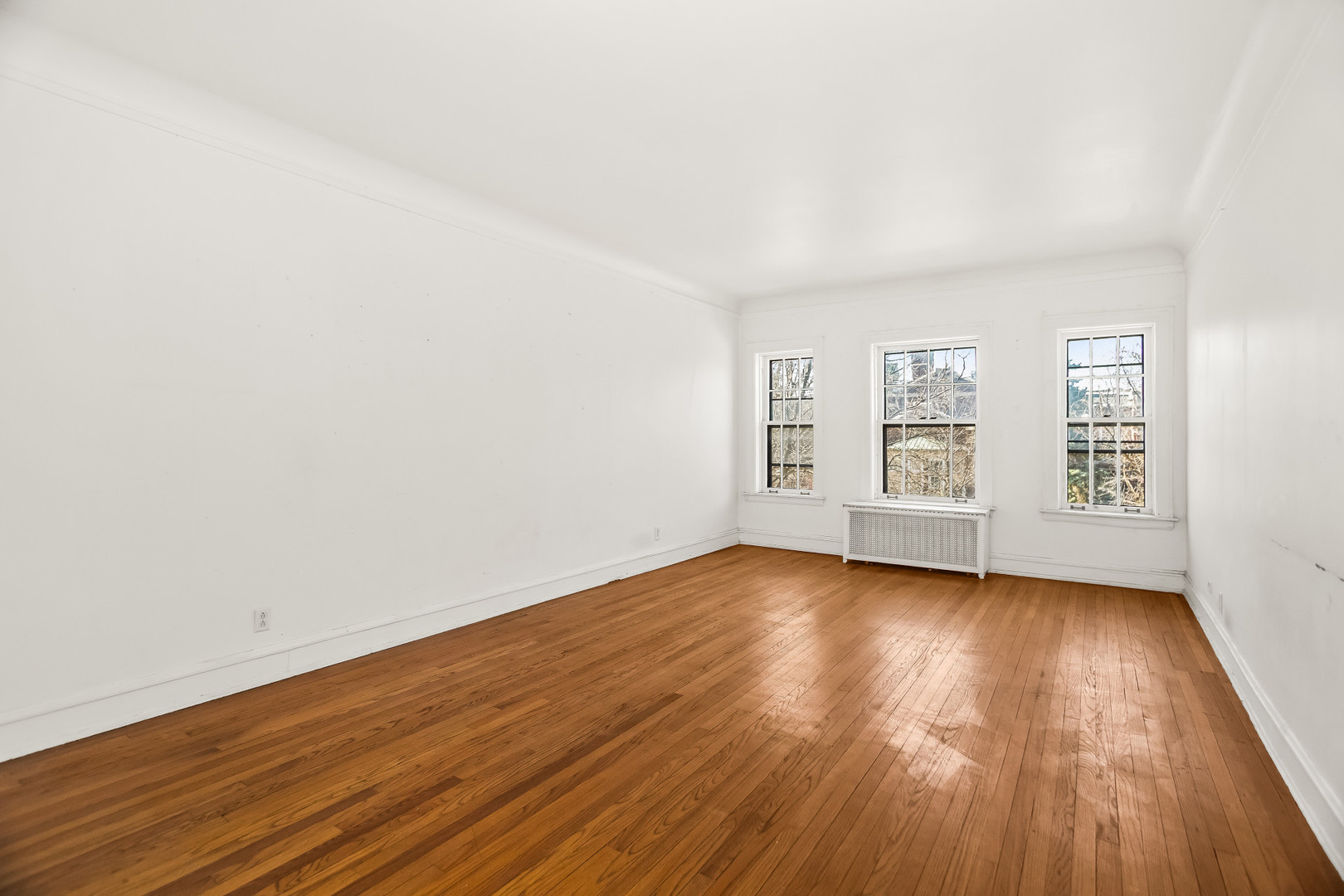 439 Ridge Avenue 2