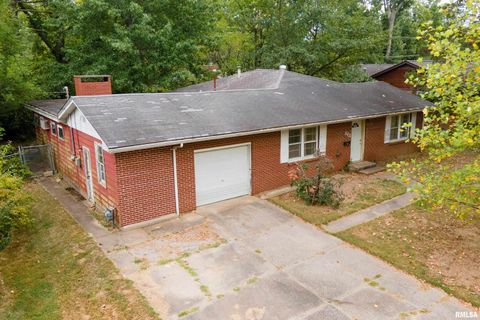 Tiny photo for 813 S SKYLINE Drive, Carbondale, IL 62901 (MLS # EB459659)
