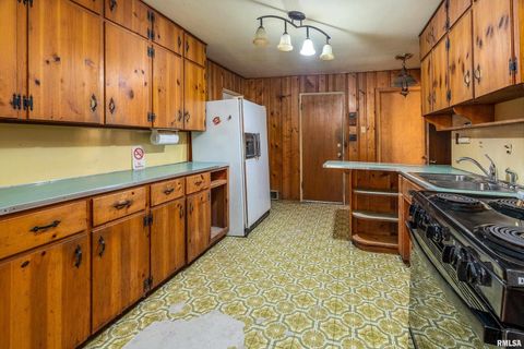 Tiny photo for 813 S SKYLINE Drive, Carbondale, IL 62901 (MLS # EB459659)