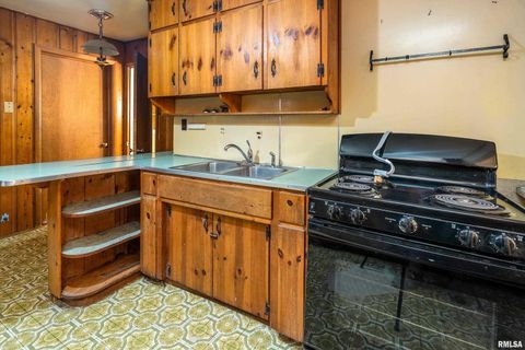 Tiny photo for 813 S SKYLINE Drive, Carbondale, IL 62901 (MLS # EB459659)