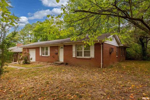 Tiny photo for 813 S SKYLINE Drive, Carbondale, IL 62901 (MLS # EB459659)