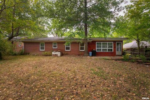 Tiny photo for 813 S SKYLINE Drive, Carbondale, IL 62901 (MLS # EB459659)
