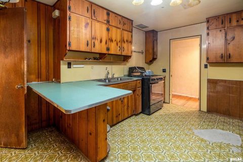 Tiny photo for 813 S SKYLINE Drive, Carbondale, IL 62901 (MLS # EB459659)