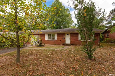 Photo of 813 S SKYLINE Drive, Carbondale, IL 62901 (MLS # EB459659)