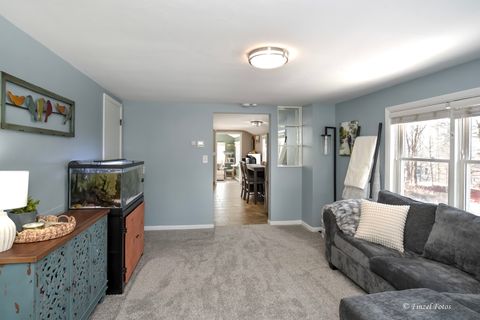 Tiny photo for 408 Jackson Street, East Dundee, IL 60118 (MLS # 12560768)