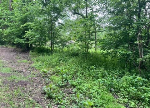 Lot 9-13 S Hickory Avenue