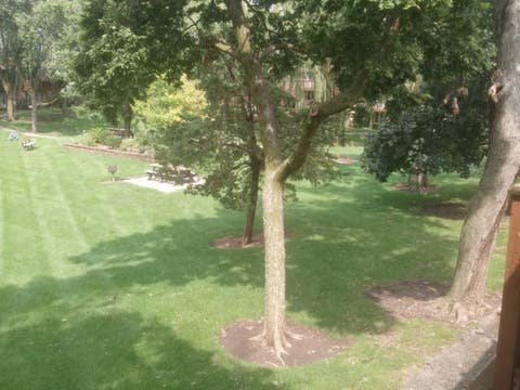 Tiny photo for 2220 Arbor Circle #26, Downers Grove, IL 60515 (MLS # 12733571)